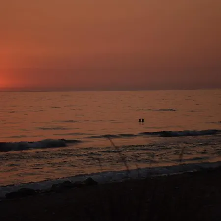 Olive Tree House,agios Gordios Appartamento